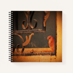 Cuaderno Contemplación