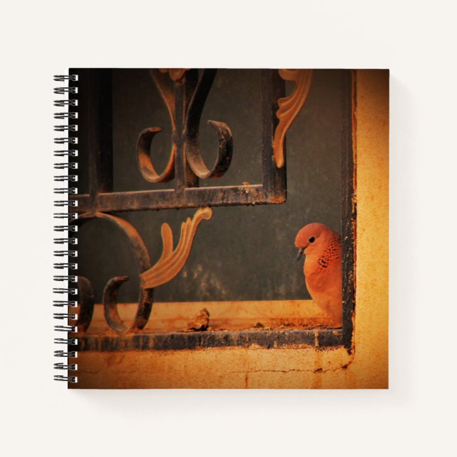 Cuaderno Contemplación (Anverso)