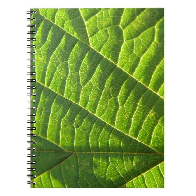 Cuaderno Cool green leafprint (Frente)