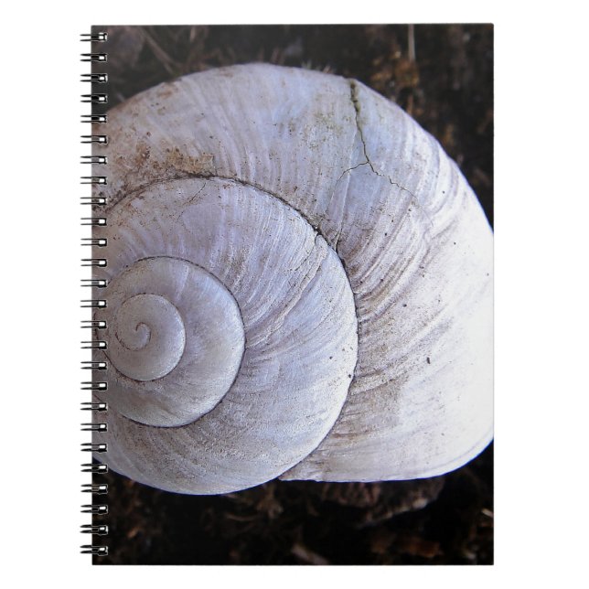 Cuaderno Cool snailshell (Frente)