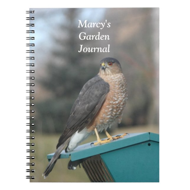 Cuaderno Coopers Hawk (Frente)