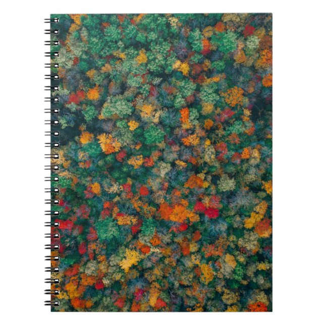 Cuaderno Copas de árboles coloridas (Frente)
