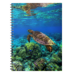 Cuaderno Coral de tortuga tropical submarina