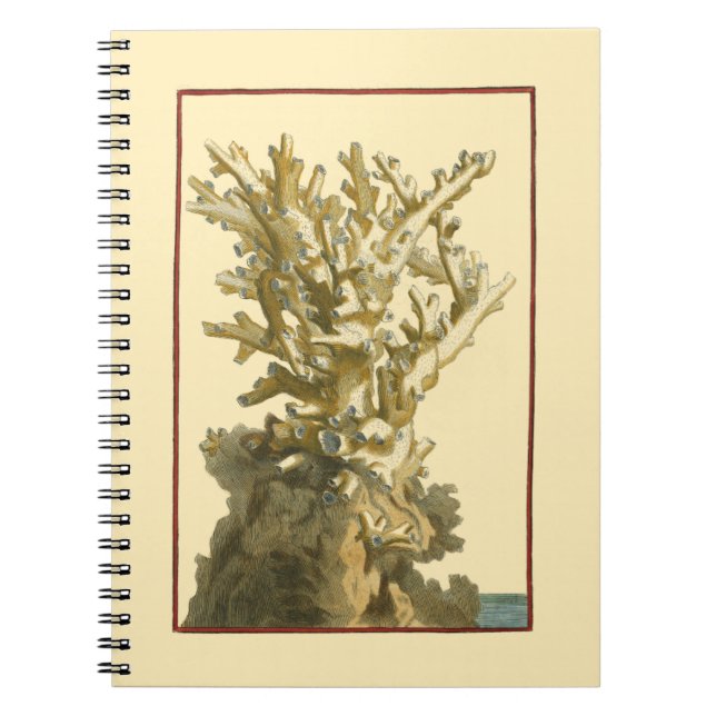 Cuaderno Coral junto al mar (Frente)
