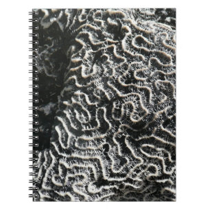 Cuaderno Coral negro y blanco I Foto abstracta de la natura