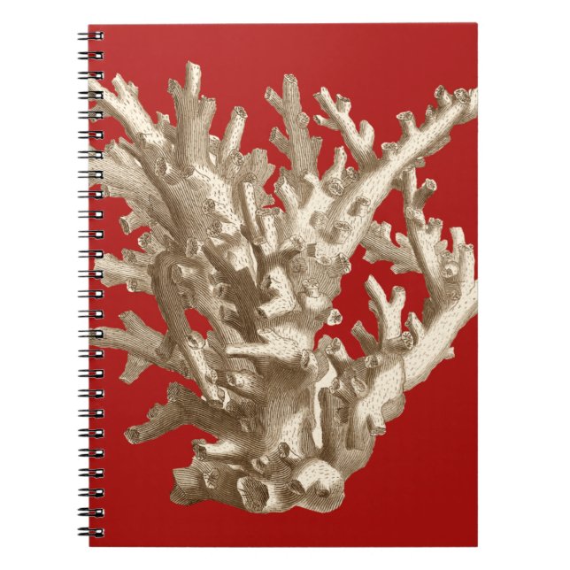 Cuaderno Coral pequeño en rojo (Frente)