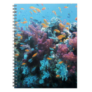Cuaderno Coral rosado