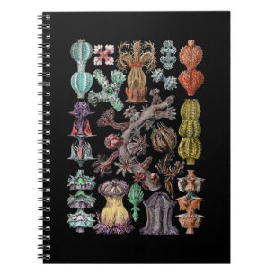 Cuaderno Coral y Esponjas coloridas del mar Gorgonide