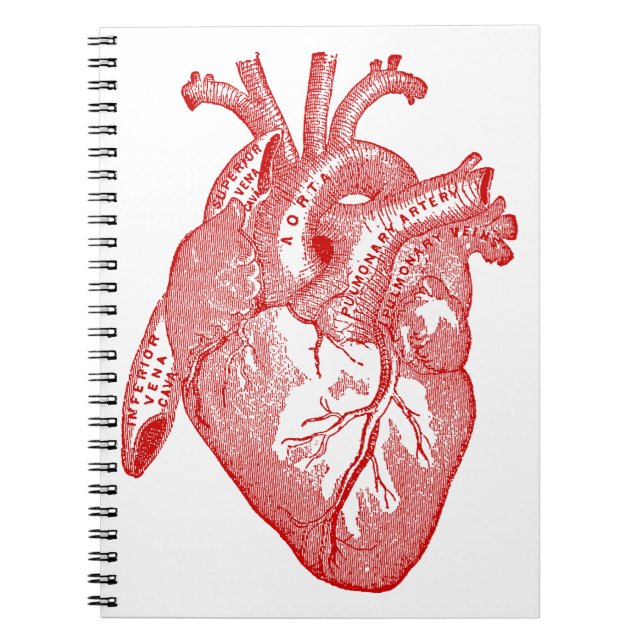 Cuaderno Corazón Anatómico de la Antigüedad Roja (Frente)