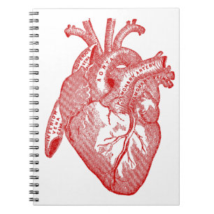 Cuaderno Corazón Anatómico de la Antigüedad Roja