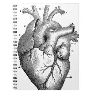 Cuaderno Corazón anatómico negro