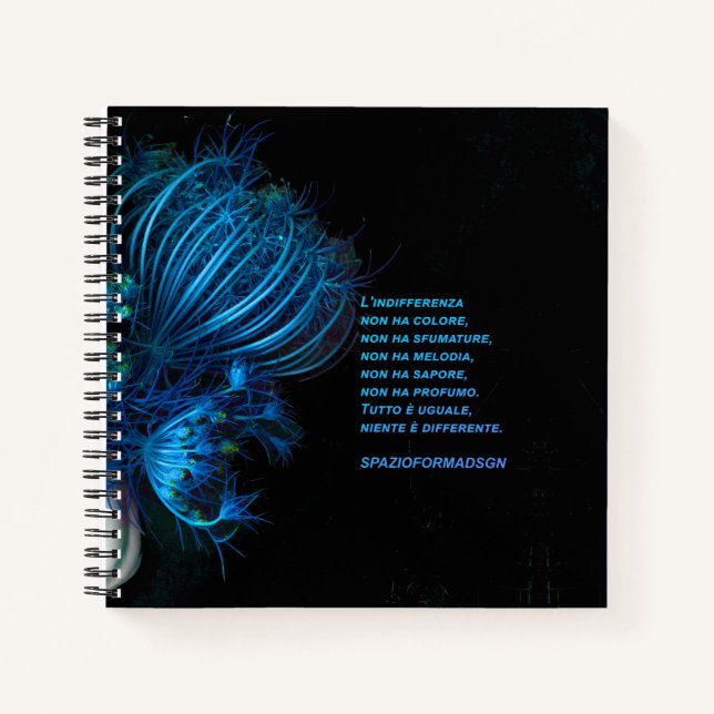 Cuaderno "Corazón azul roto en negro II" e Indifferenza (Anverso)