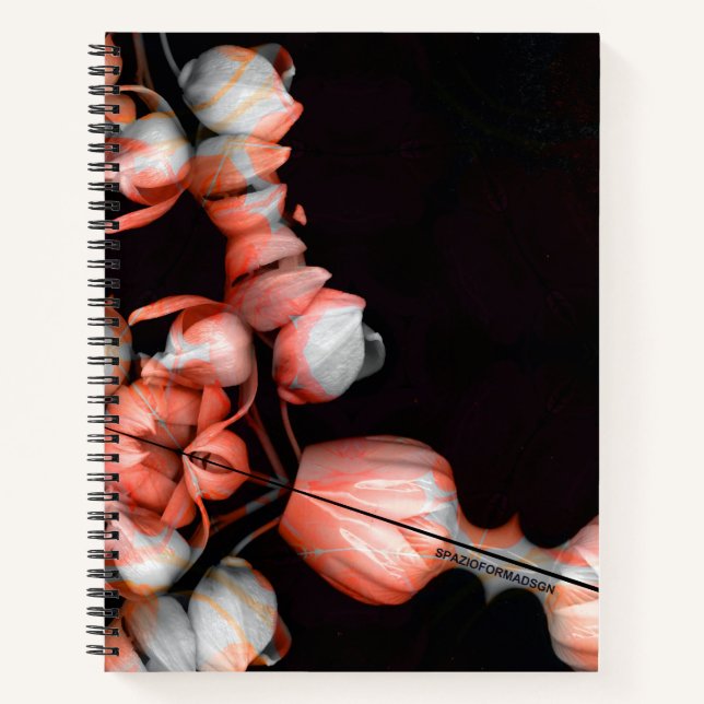 Cuaderno "Corazón blanco en negro por el sol" (Anverso)