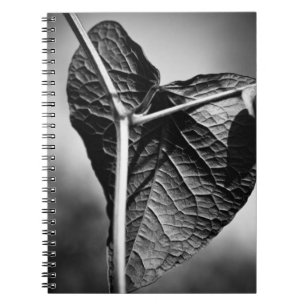 Cuaderno corazón crucificado