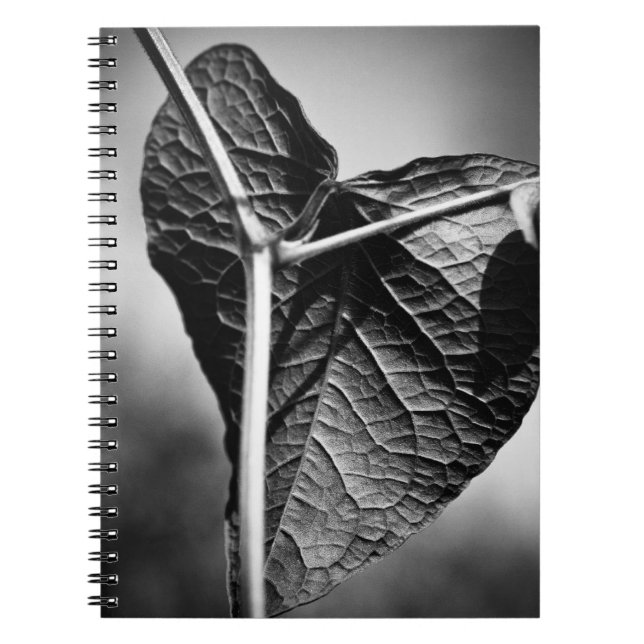 Cuaderno corazón crucificado (Frente)