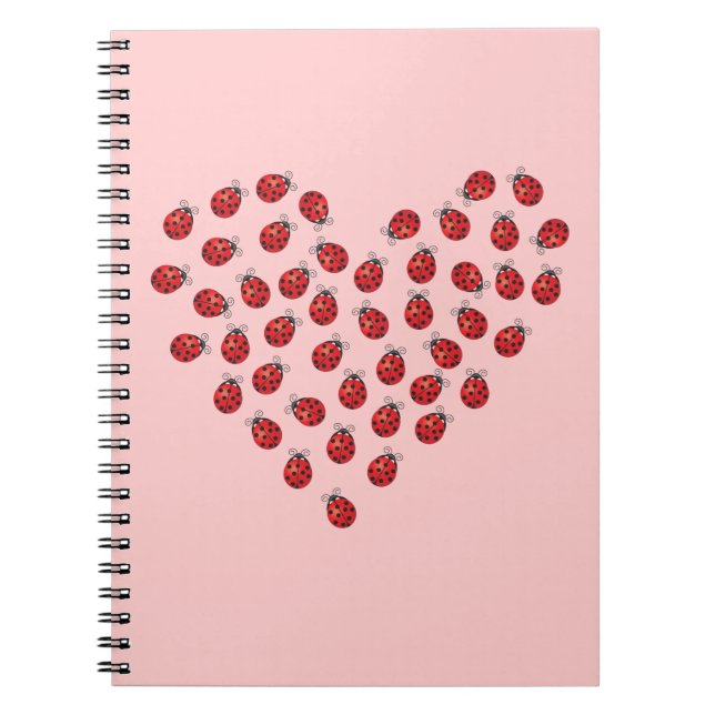 Cuaderno Corazón de amor de la parábola (Frente)