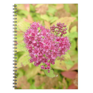 Cuaderno Corazón de flor natural - perforado por flecha.