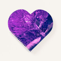 Corazón Púrpura Pohutukawa