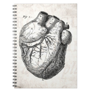 Cuaderno Corazones cardiacos retros de la anatomía del