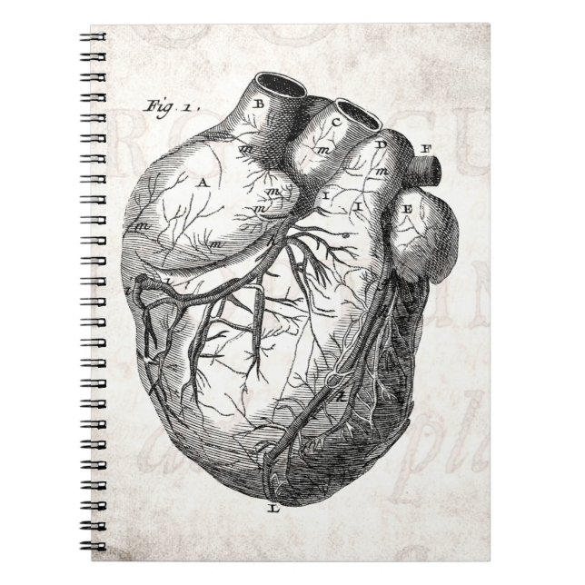 Cuaderno Corazones cardiacos retros de la anatomía del (Frente)