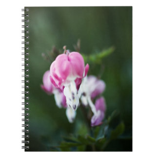 Cuaderno Corazones rotos alinear un bloc de notas
