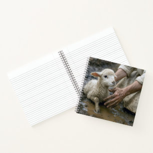 Cuaderno Cordero Rescatado Por Un Pastor