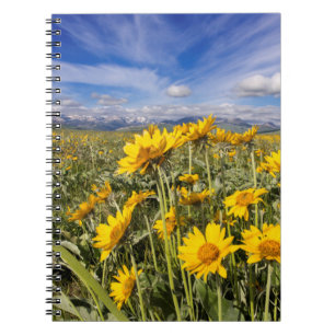 Cuaderno Cordillera frontal de las Montañas Rocosas