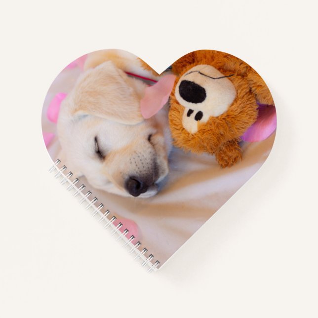 Cuaderno Cordones de cachorro 02 (Anverso)