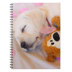 Cuaderno Cordones de cachorro 02