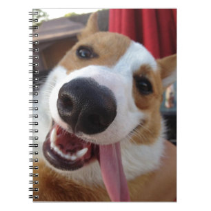 Cuaderno Corgi rojo y blanco Galés del Pembroke