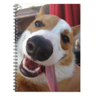 Cuaderno Corgi rojo y blanco Galés del Pembroke