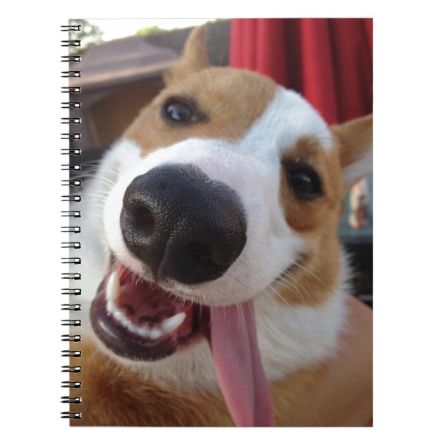 Cuaderno Corgi rojo y blanco Galés del Pembroke (Frente)