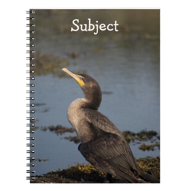 Cuaderno Cormorán de doble pecho (Frente)