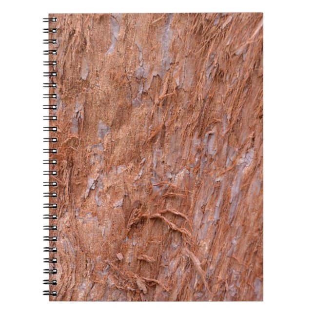 Cuaderno corteza de árbol en un bosque (Frente)