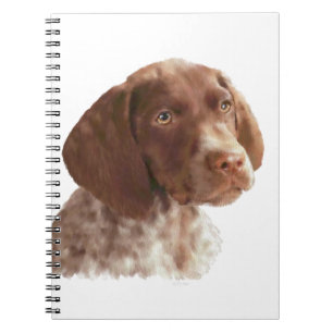 Cuaderno Cortometría alemana