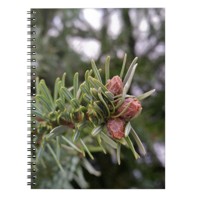 Cuaderno Cosas de fibromas (Frente)