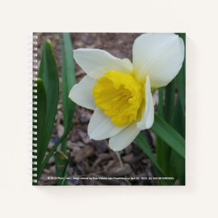 Cuaderno Cosas que me gustan del bloc de notas de RoseWrite