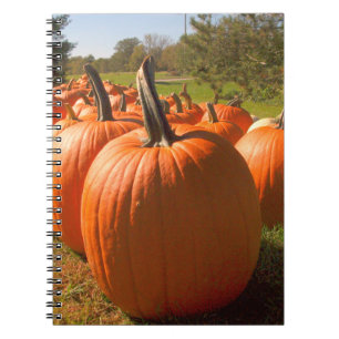 Cuaderno Cosecha de calabaza