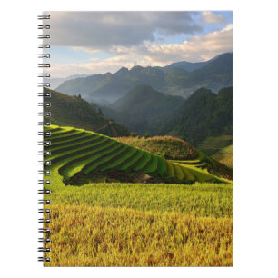 Cuaderno cosecha de plantas en montañas con cielo nublado