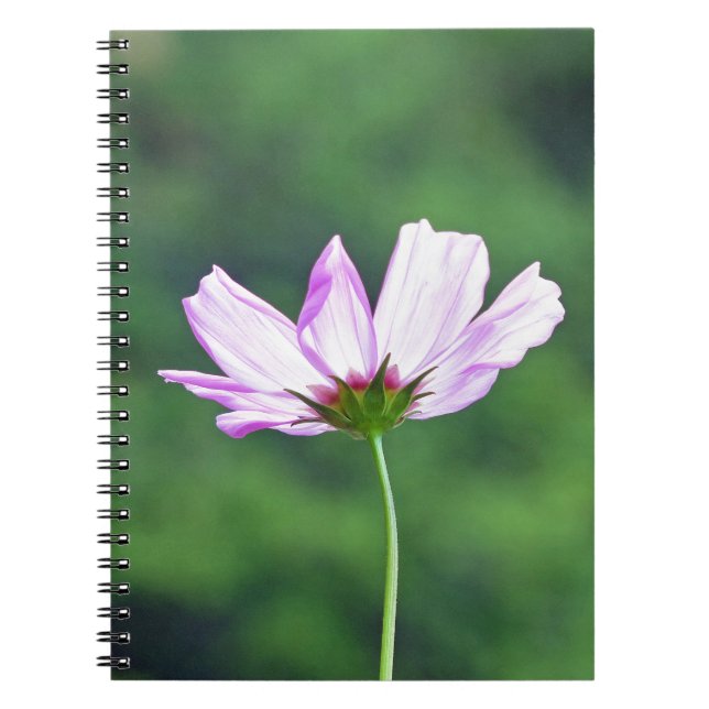 Cuaderno Cosmos (Frente)