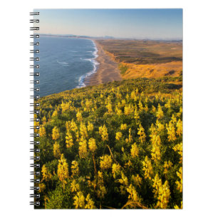 Cuaderno Costa Nacional Point Reyes California