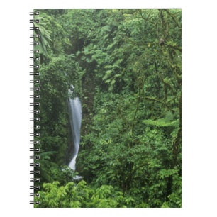 Cuaderno Costa Rica, área del Volcán Arenal, puentes colg