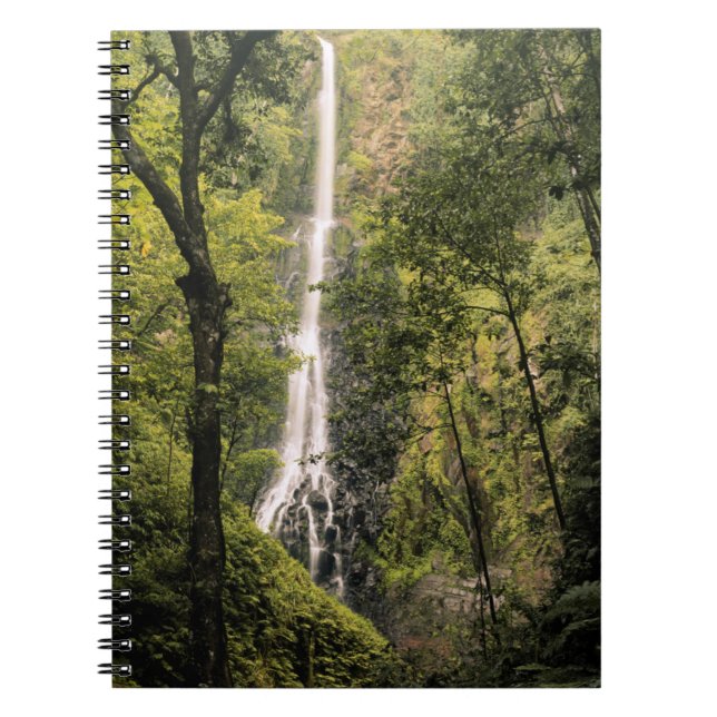 Cuaderno Costa Rica, isla Cocos, cascada de Wafer Bay (Frente)