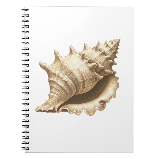 Cuaderno Costero/playa/concha náutica (Frente)