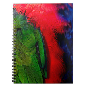 Cuaderno Costillas de aves verdes y rojas