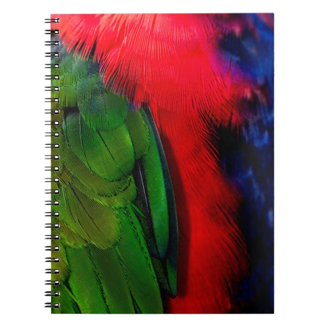 Cuaderno Costillas de aves verdes y rojas (Frente)
