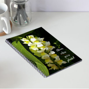 Cuaderno Cota donde estás plantada cita Boca de dragón