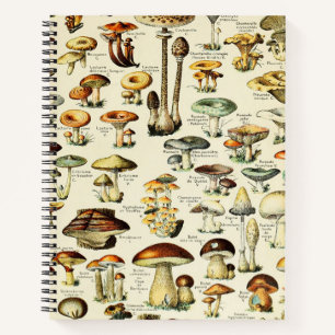 Cuaderno Cottagecore Mushrooms Vintage Naturalist