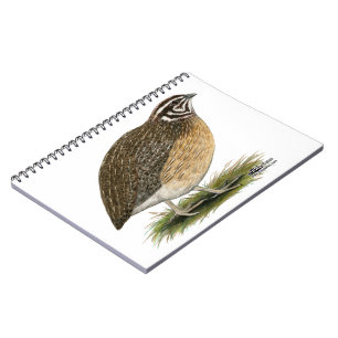 Cuaderno Coturnix Pharaoh Quail