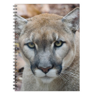 Cuaderno Cougar, león de montaña, pantera de Florida, Puma